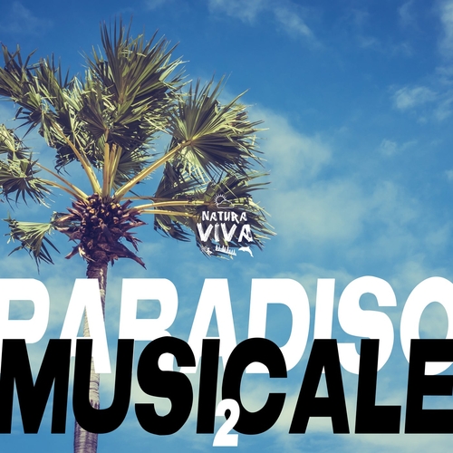 VA - Paradiso Musicale 2 [NATCOMPI013]